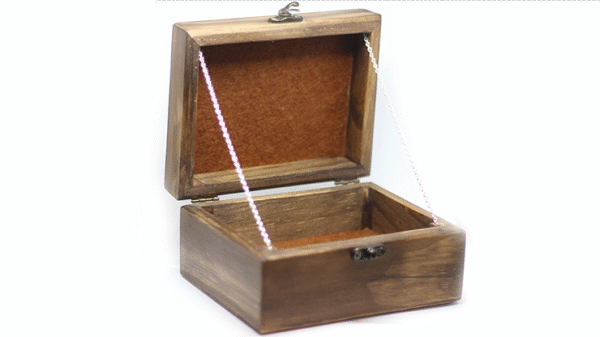 60246-alt2 Haunted Box (Deluxe) by João Miranda