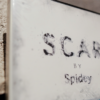 SCAR (DVD & Gimmicks) by Spidey - Trick