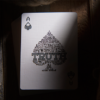 Truth Playing Cards (I Never Believe Me)