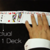 The 52 to 1 Deck Blue (Gimmicks and Online Instructions) by Wayne Fox and David Penn - Trick