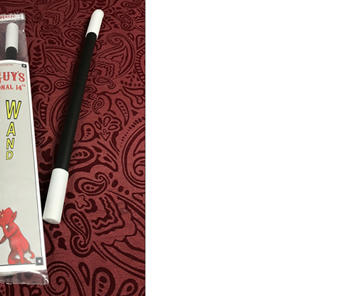 Professional Rising Wand by Big Guy's Magic - Trick