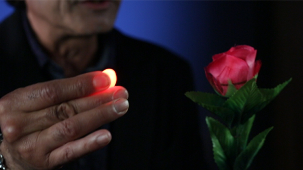 61343-alt4 Rocco's Prisma Lites SOUND Single (Bug/Red) - Trick