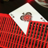 61609-alt3 Bicycle Koi Playing Cards