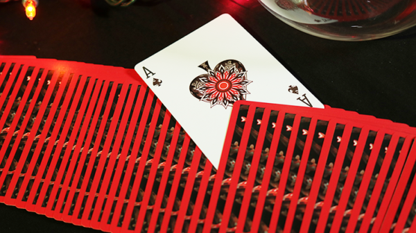 61609-alt3 Bicycle Koi Playing Cards