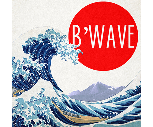 B'Wave DELUXE by Max Maven (Gimmicks and Online Instructions) - Trick