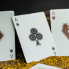 62276-alt5 Skymember Presents Ancient Egypt Playing Cards by Calvin Liew and Arise Art Studio