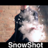 SnowShot (10 ct.) by Victor Voitko (Gimmick and Online Instructions) - Trick