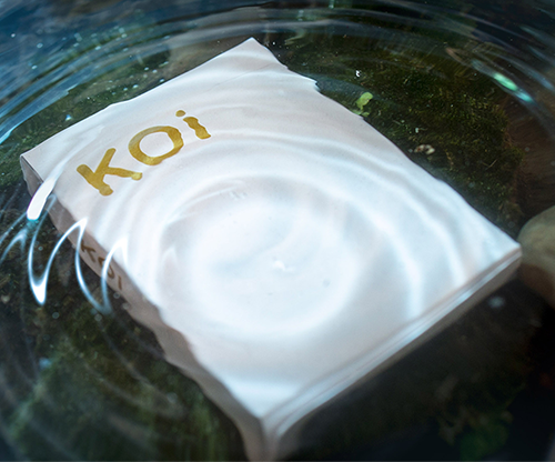 Koi V2 Playing Cards by Byron Leung
