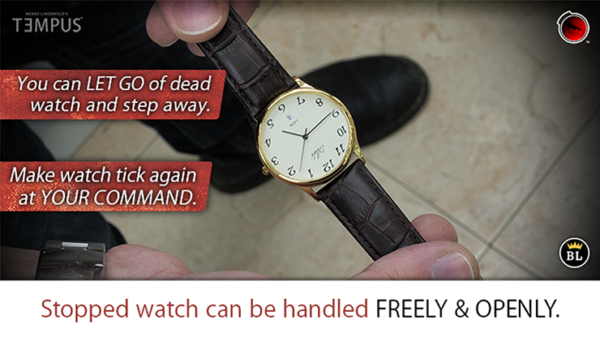 65746-alt3 TEMPUS (Gimmick and Online Instructions) by Menny Lindenfeld