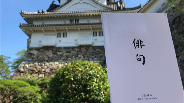 66057-alt1 Haiku Book Test 2.0 by Vincent Hedan - Trick