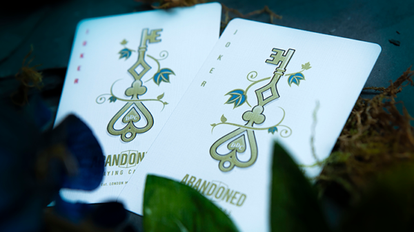 68288-alt3 Abandoned Luxury Playing Cards by Dynamo