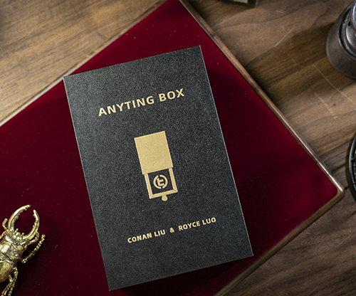 69534-full Anything Box by TCC