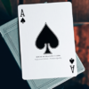 NOC Pro 2021 (Greystone) Playing Cards