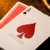 70098-alt4 NOC (Red) The Luxury Collection Playing Cards by Riffle Shuffle x The House of Playing Cards