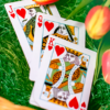 72318-alt3 Butterfly Seasons Playing Cards Marked (Spring) by Ondrej Psenicka