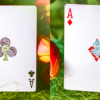 72318-alt4 Butterfly Seasons Playing Cards Marked (Spring) by Ondrej Psenicka