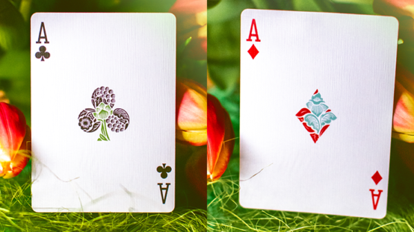 72318-alt4 Butterfly Seasons Playing Cards Marked (Spring) by Ondrej Psenicka