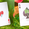 72318-alt5 Butterfly Seasons Playing Cards Marked (Spring) by Ondrej Psenicka