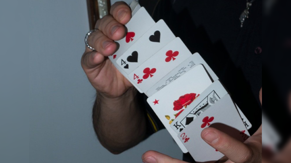 73243-alt4 TICTACTOE Playing Cards