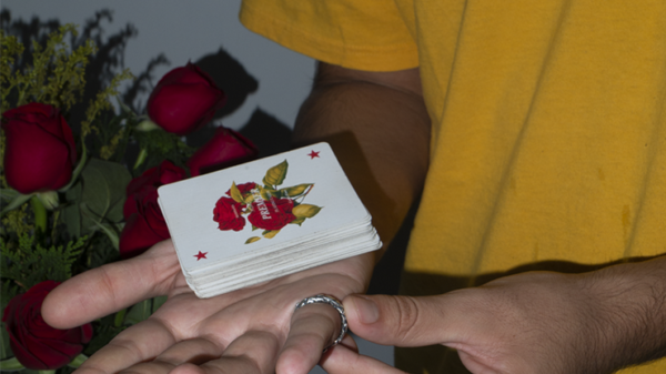 73243-alt5 TICTACTOE Playing Cards