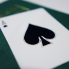 Leon V2 Playing Cards