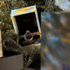 73655-alt3 WingsMagic Present AppeaRing V2 by Yim & Carpenter Wong - Trick
