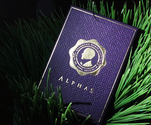 DMC Alpha V3 (Purple) Portcullis with Online Instructions