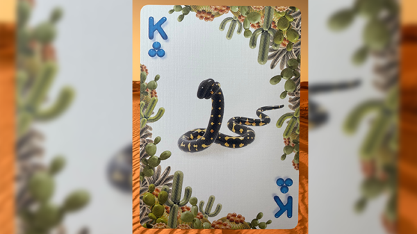 75392-alt5 Gilded Bicycle Balloon Desert Playing Cards