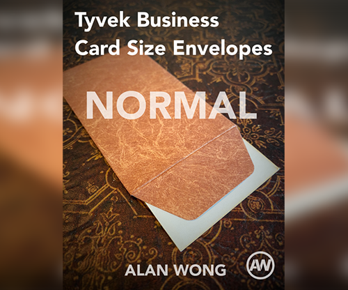 Tyvek Business Card Size Envelopes (10 pk.) by Alan Wong