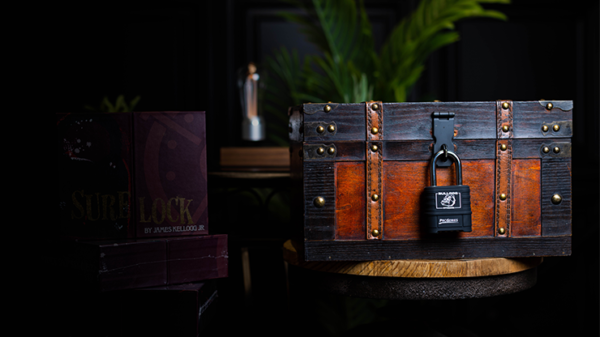76413-alt2 Sure Lock by James Kellogg Jr.