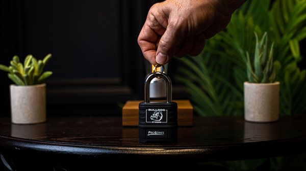 76413-alt3 Sure Lock by James Kellogg Jr.