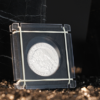 76448-alt1 Coin Shackles by TCC