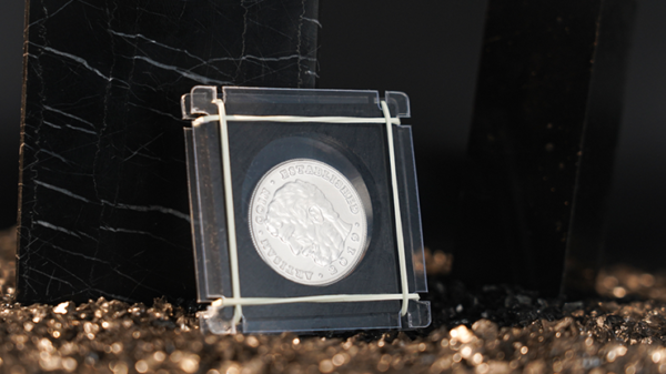 76448-alt1 Coin Shackles by TCC