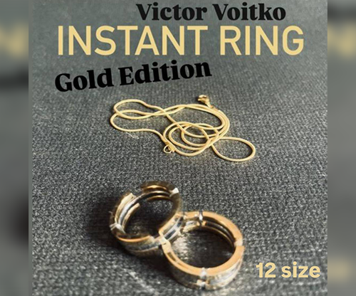 76932-full Instant Ring (silver/gold, Size 12) by Viktor Voitko