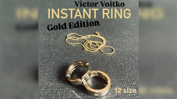76932-full Instant Ring (silver/gold, Size 12) by Viktor Voitko