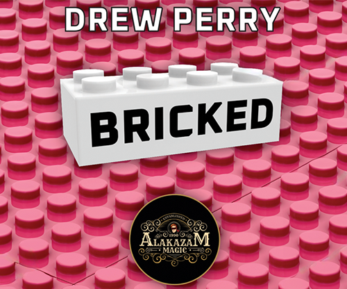 Bricked by Drew Perry