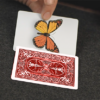 77622-alt4 Caterfly (Red) by My Magical Project