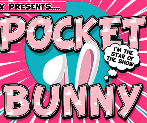 Pocket Bunny by Lee Alex