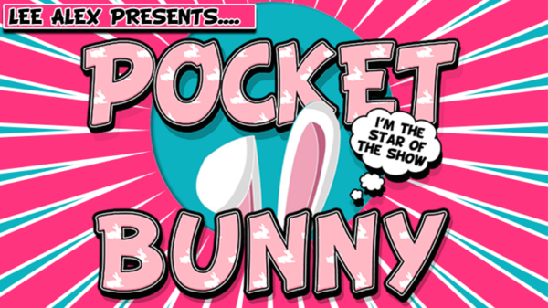 77648-full Pocket Bunny by Lee Alex