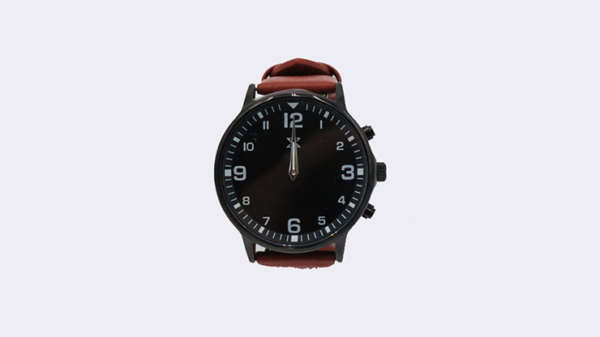 77663-alt2 SB Watch 2 (2024) Noir Black Three