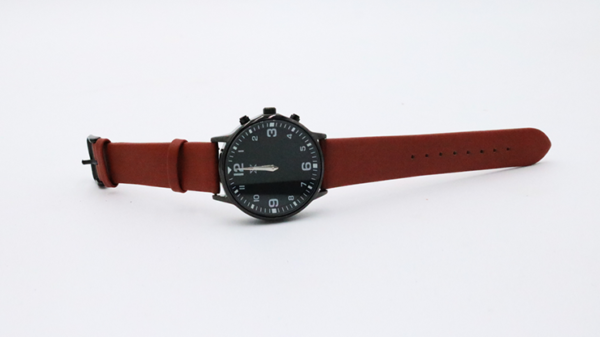 77663-alt3 SB Watch 2 (2024) Noir Black Three