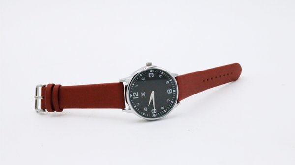 77664-alt2 SB Watch 2 (2024) Noir Silver One
