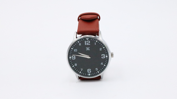 77664-alt3 SB Watch 2 (2024) Noir Silver One