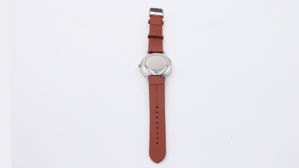 77664-alt4 SB Watch 2 (2024) Noir Silver One