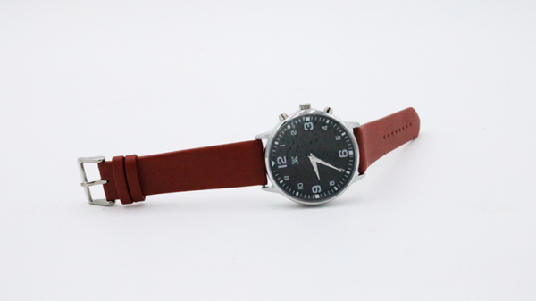 77665-alt2 SB Watch 2 (2024) Noir Silver Three