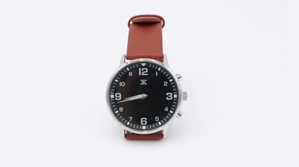 77665-alt3 SB Watch 2 (2024) Noir Silver Three