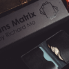 Transparent Matrix (Half Dollar) 2024 by Richard Mo