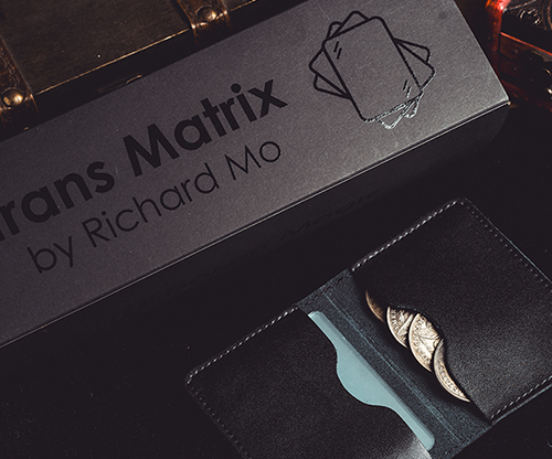 Transparent Matrix (Half Dollar) 2024 by Richard Mo