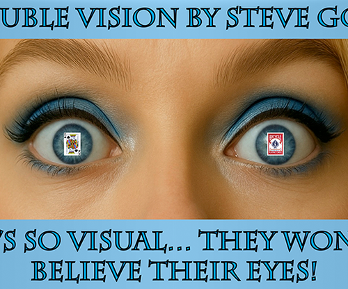 Double Vision by Steve Gore