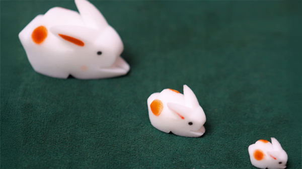 78923-alt1 The Bunnies! 3D Rabbits (Parents, Kids & Grandpa)